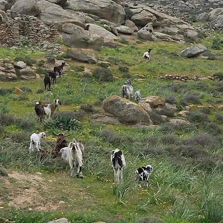 Apsila Mykonos *