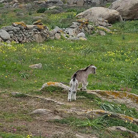 Apsila Mykonos Lägenhet *